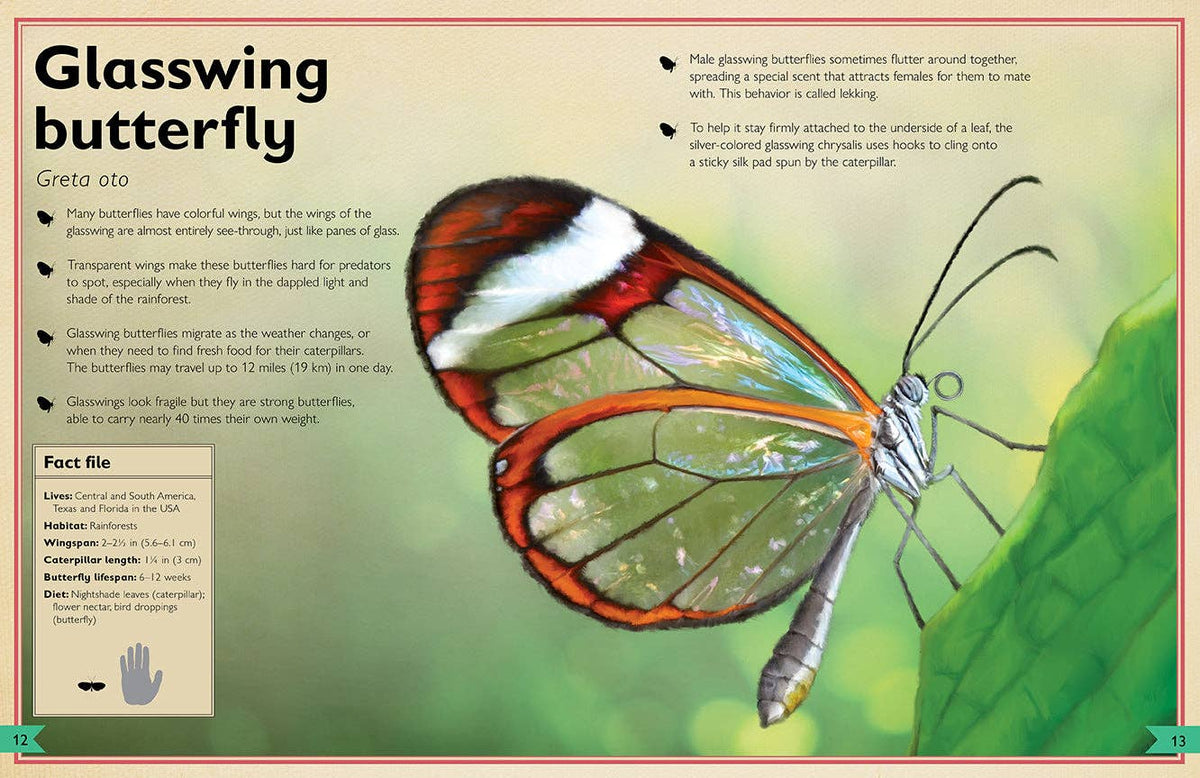 Insight Editions - The Magnificent Book of Butterflies & Moths - Ages 6+