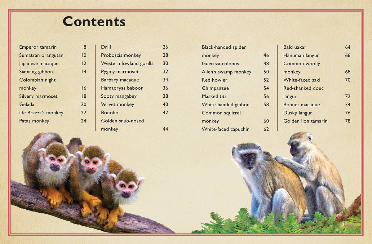 Insight Editions - The Magnificent Book of Monkeys and Apes - Ages 6+