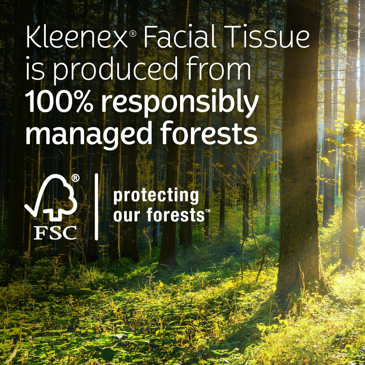 Kleenex Hand Towels, Single-Use Disposable Paper Towels, 6 Boxes, 60 Towels Per Box (360 Towels Total) 🍁 All In One Marketplace Canada