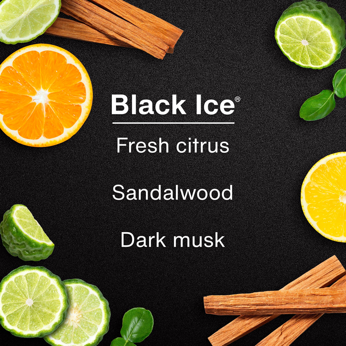 LITTLE TREES Car Air Freshener. SPRAY Provides a Long-Lasting Scent for Auto or Home. On-the-go Freshness. Black Ice, 6 Air Fresheners 🍁 All In One Marketplace Canada