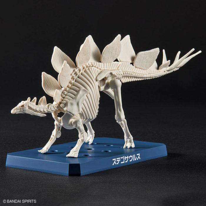 Bandai - Plannosaurus Stegosaurus Plastic Model