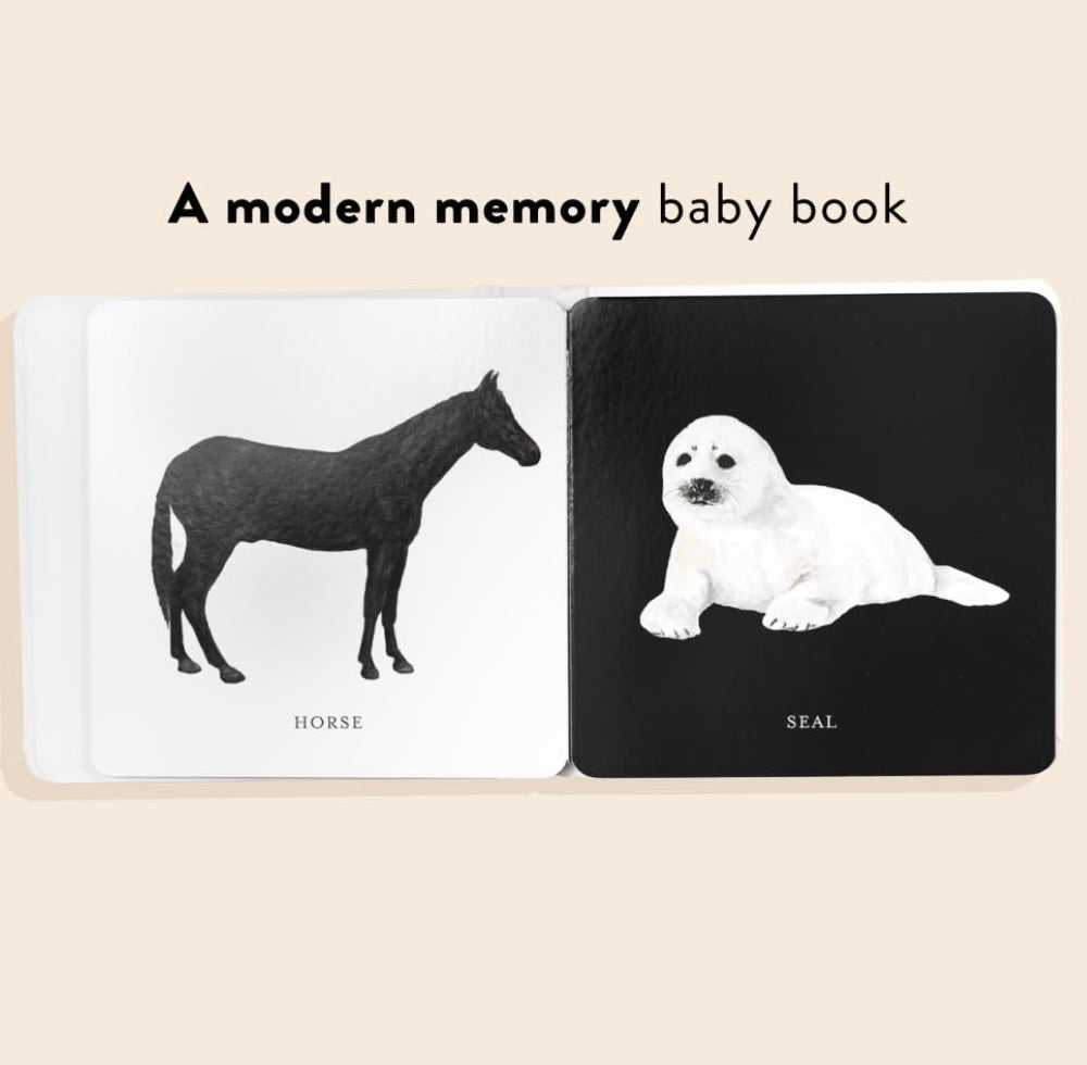 Baby's Black and White Contrast Book | Books