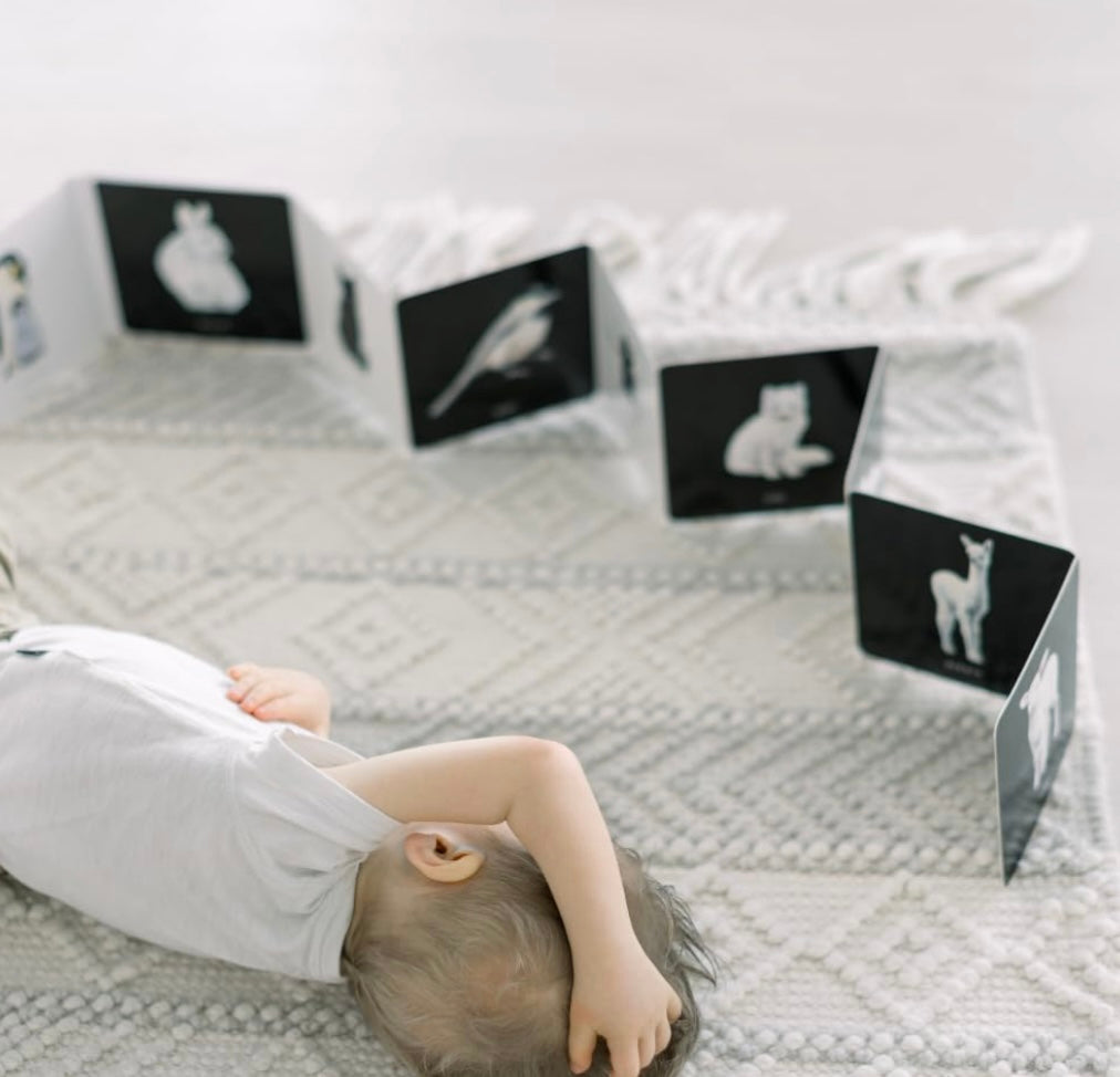 Baby's Black and White Contrast Book | Books