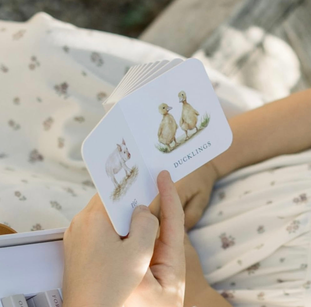 Our Very Little Library Board Book Set | Books