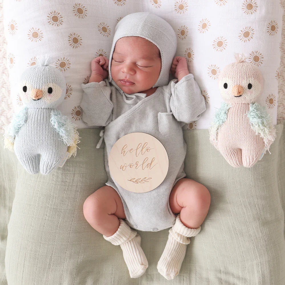 Baby Parrot | Sky Blue | Cuddle + Kind