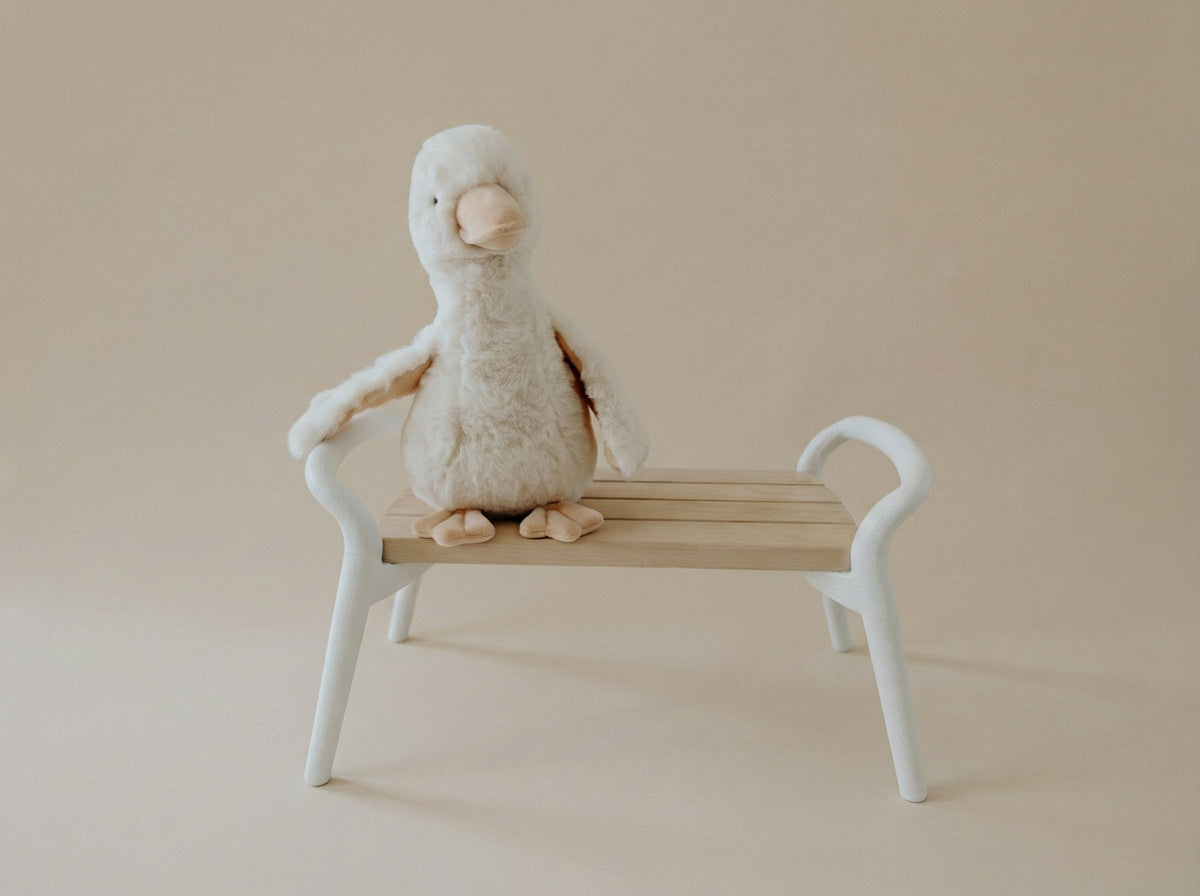 Le Tibanc - Marchepied polyvalent