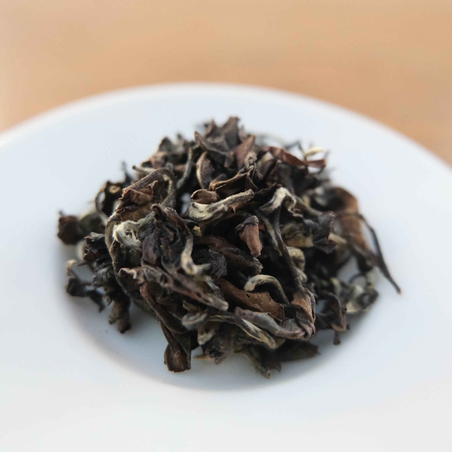 BUG-BITTEN OOLONG - MYSELF SURRENDERED