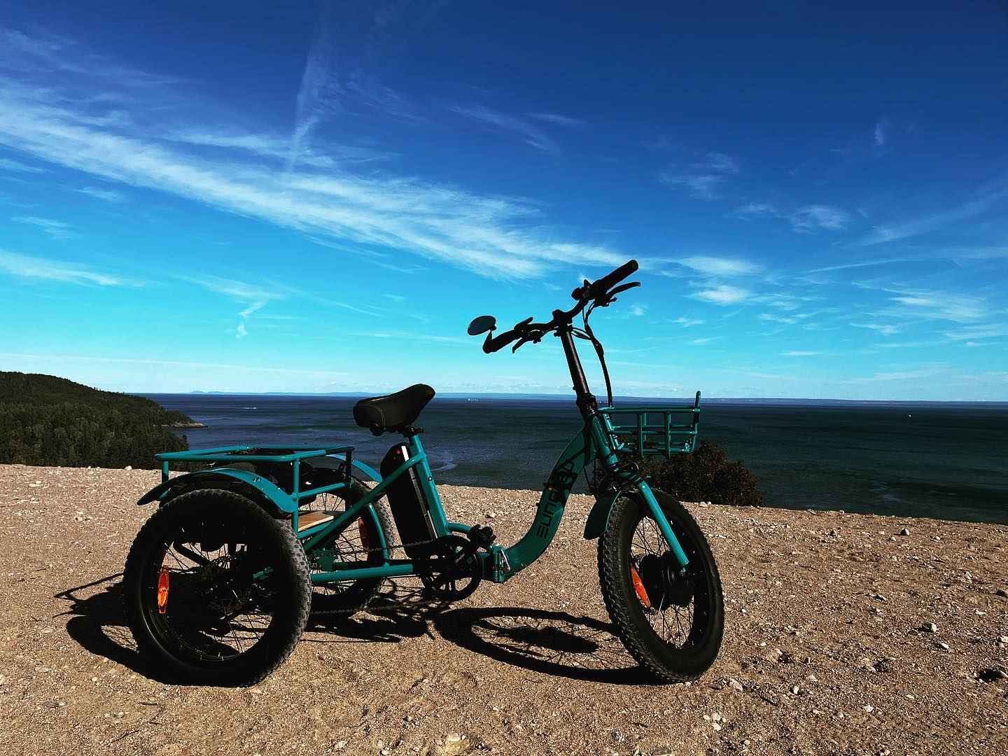 NEW-TRIKE 1.0