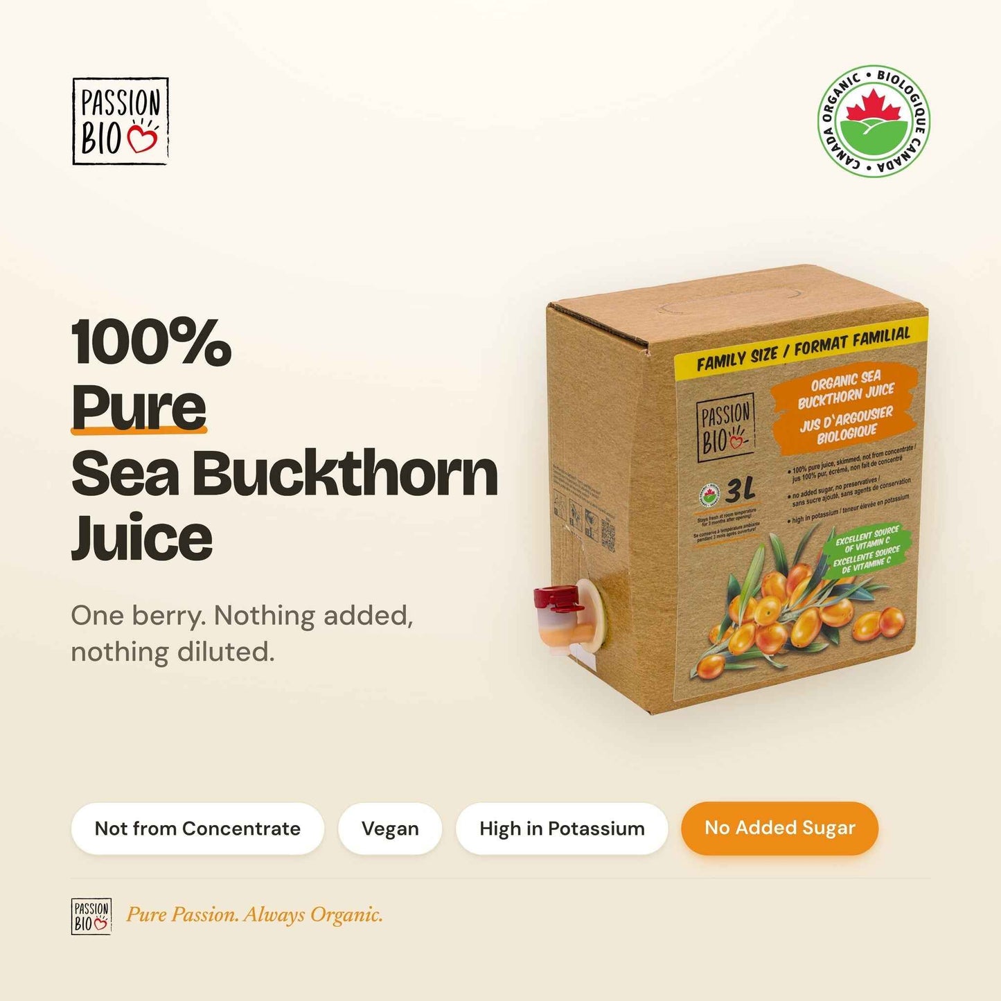 Organic Sea Buckthorn Juice Box 3 Litre (101.4 Fl Oz) — 100% Pure
