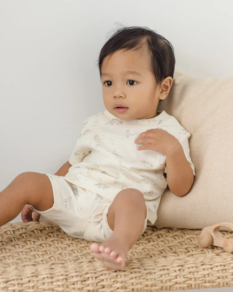 Summer Pajama Set | Dinosaur | Quincy Mae