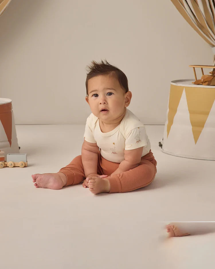 Short Sleeve Bodysuit Pack | Carnival, Honey Stripe | Quincy Mae