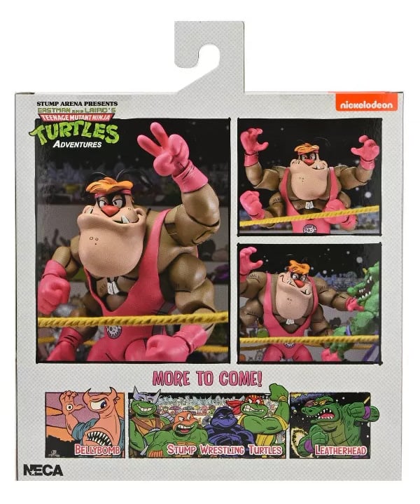 Teenage Mutant Ninja Turtles Adventures Stump Wrestling Cryin' Houn' (Archie Comics)