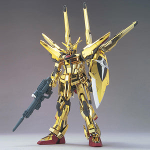 HGCE #15 Akatsuki Oowashi/Shiranui 1/100
