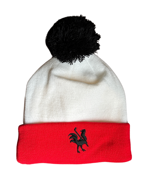 Winter Toque