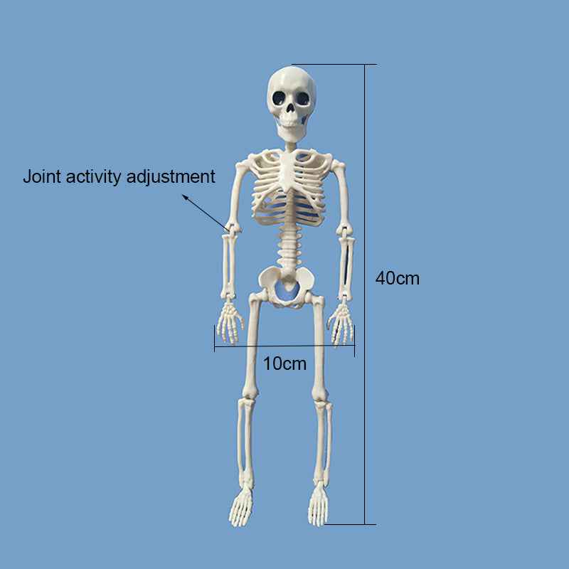 Creepy Hanging Skull Décor – Halloween Ghost Skeleton Decoration for Indoor & Outdoor Use