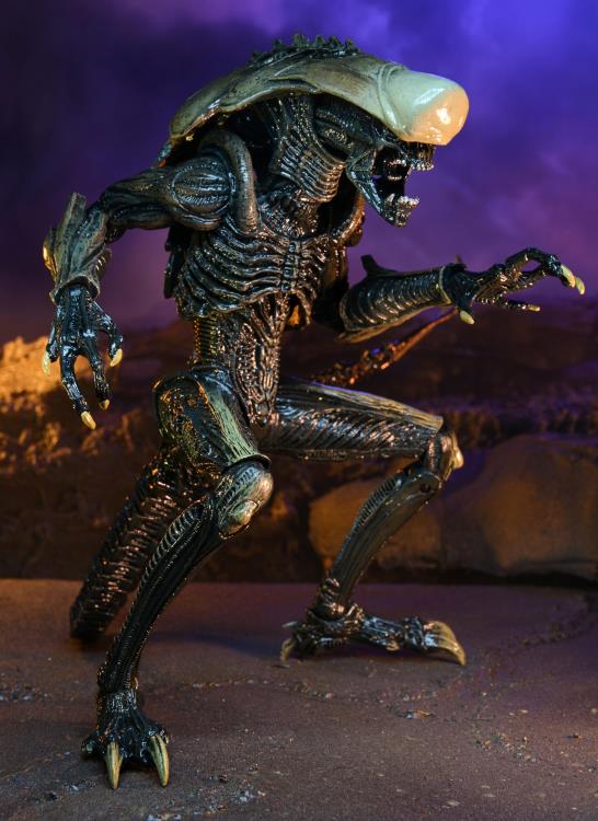 Neca - Alien vs. Predator Chrysalis (Movie Deco) Figure