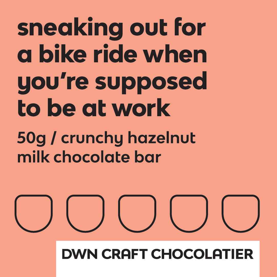 caramelized hazelnut milk chocolate bar