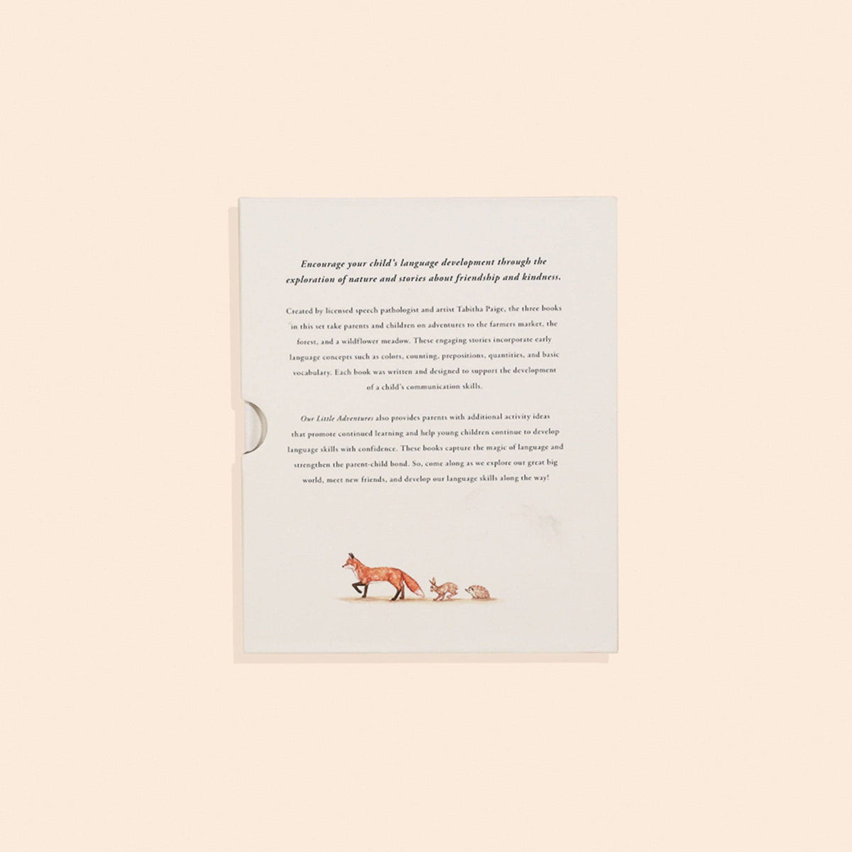 Paige Tate & Co. - Our Little Adventures Box Set (3 Board Books) - Ages 1+