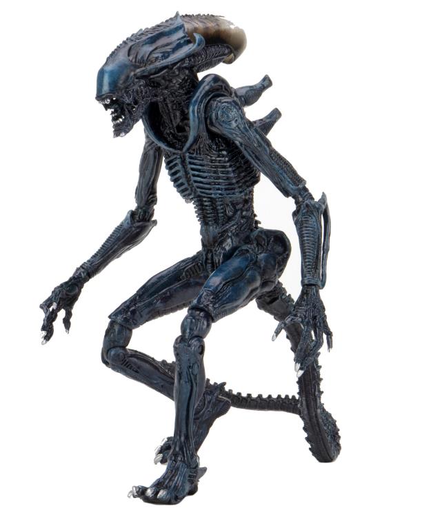 Alien vs. Predator Aliens Set of 3 Figures Movie Deco