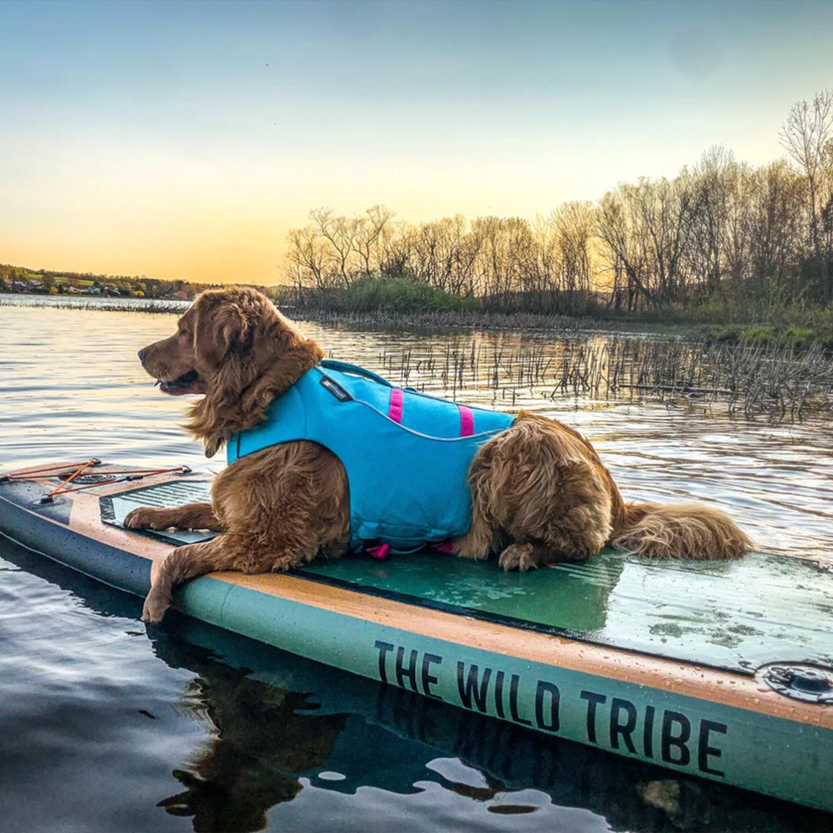 Sequoia 11' - Inflatable Paddleboard