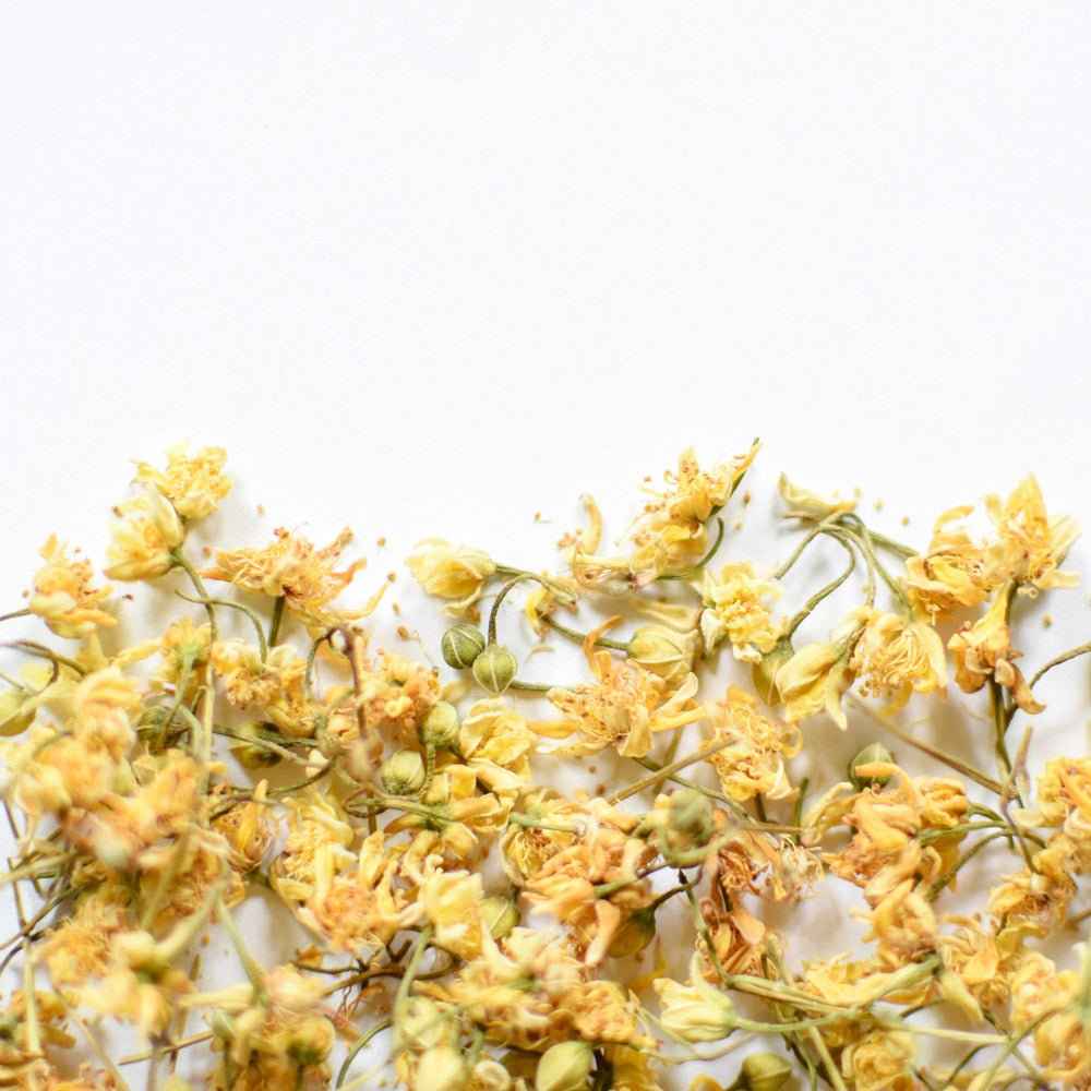 Tilleul, fleur