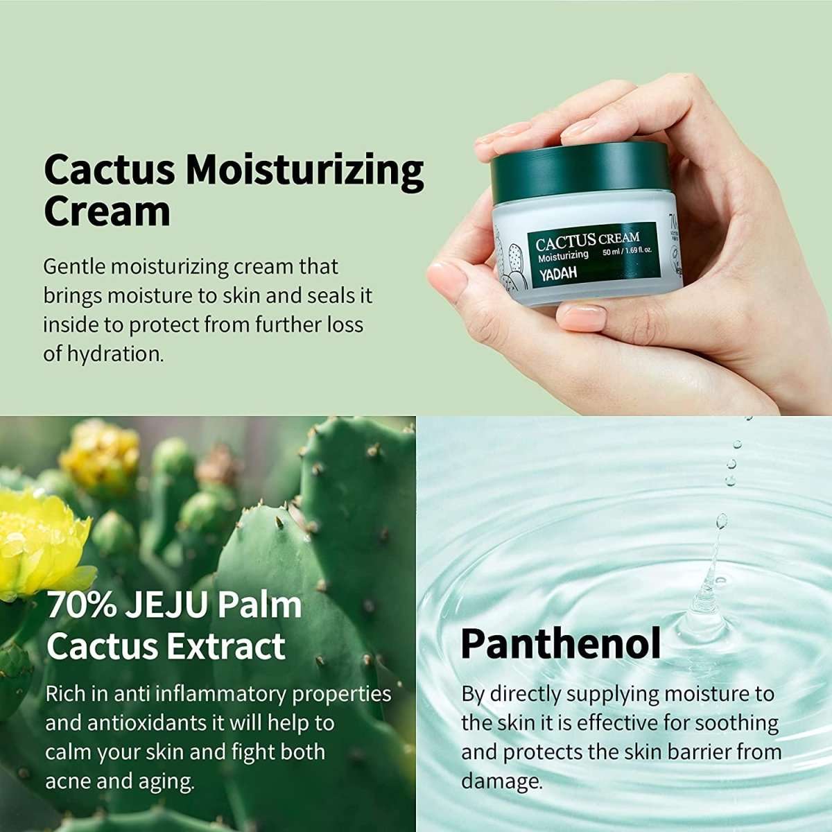 Yadah Cactus Cream 50ml